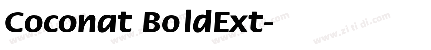 Coconat BoldExt字体转换